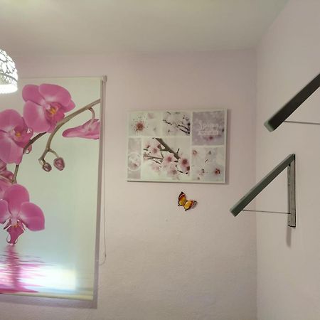 Vila La Casita De Ana. Puerta Valencia. Casco Antiguo Cuenca  Exteriér fotografie
